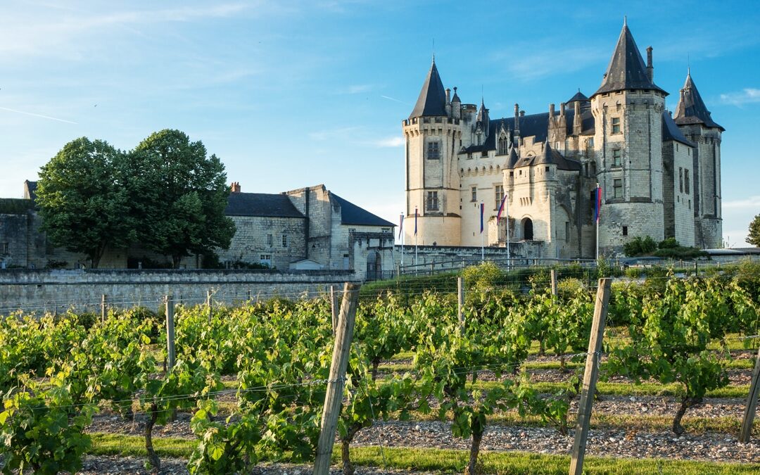 Ci vediamo a Viniamo