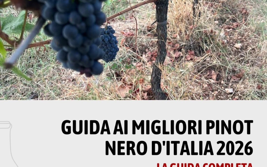 Edizione 2026 della guida Vinodabere.it ai Pinot Nero