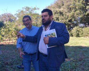 maurizio valeriani, direttore vinodabere