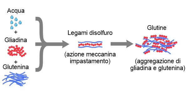 maurizio valeriani, direttore vinodabere
